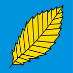 Municipal flag: Alto Malcantone