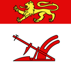 Municipal flag: Aranno