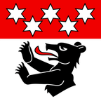 Municipal flag: Auswil