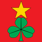 Municipal flag: Bannwil