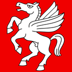 Municipal flag: Bargen (BE)