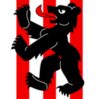 Municipal flag: Bäriswil