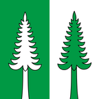 Municipal flag: Bedretto