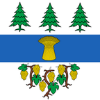 Municipal flag: Begnins