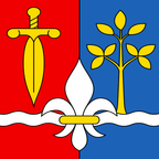 Municipal flag: Bioggio