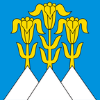 Municipal flag: Blumenstein