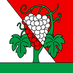 Municipal flag: Bourg-en-Lavaux