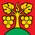 Municipal flag: Bühl