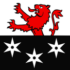 Municipal flag: Bursinel