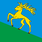 Municipal flag: Cerentino