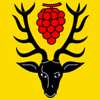 Municipal flag: Chamblon