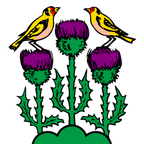 Municipal flag: Chardonne