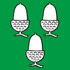Municipal flag: Chavannes-le-Chêne