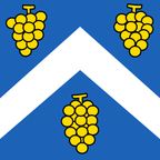 Municipal flag: Chigny