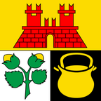 Municipal flag: Coldrerio