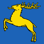Municipal flag: Concise