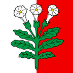 Municipal flag: Corcelles-près-Payerne