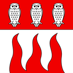 Municipal flag: Cuarny