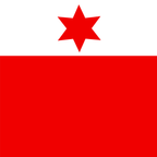 Municipal flag: Dotzigen