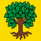 Municipal flag: Echallens