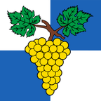 Municipal flag: Echichens