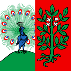Municipal flag: Faoug
