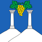 Municipal flag: Féchy