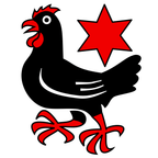 Municipal flag: Finsterhennen