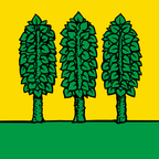 Municipal flag: Genolier