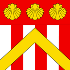 Municipal flag: Gilly