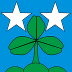 Municipal flag: Gondiswil