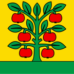 Municipal flag: Grossaffoltern