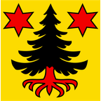 Municipal flag: Guttannen