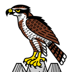 Municipal flag: Habkern