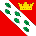 Municipal flag: Herzogenbuchsee