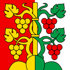 Municipal flag: Hilterfingen