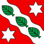 Municipal flag: Horrenbach-Buchen