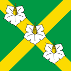Municipal flag: Jorat-Mézières