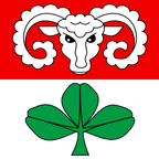 Municipal flag: Kaufdorf