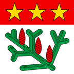 Municipal flag: La Praz