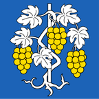 Municipal flag: Lavigny