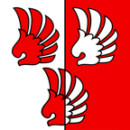 Municipal flag: Luins
