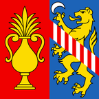 Municipal flag: Lumino