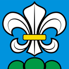 Municipal flag: Lyss