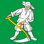 Municipal flag: Madiswil