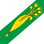 Municipal flag: Marchissy