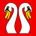 Municipal flag: Mattstetten