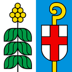 Municipal flag: Mezzovico-Vira