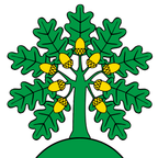 Municipal flag: Montanaire