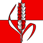 Municipal flag: Montilliez